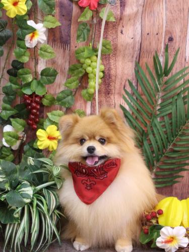 20230825梛都ちゃん